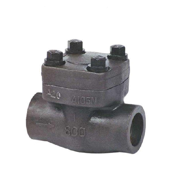 Socket welding/NPT threaded forged steel check valve